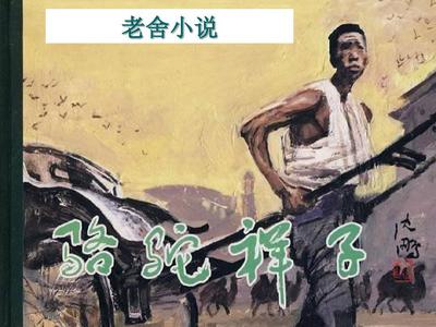深入了解 星空传媒完整免费观看视频